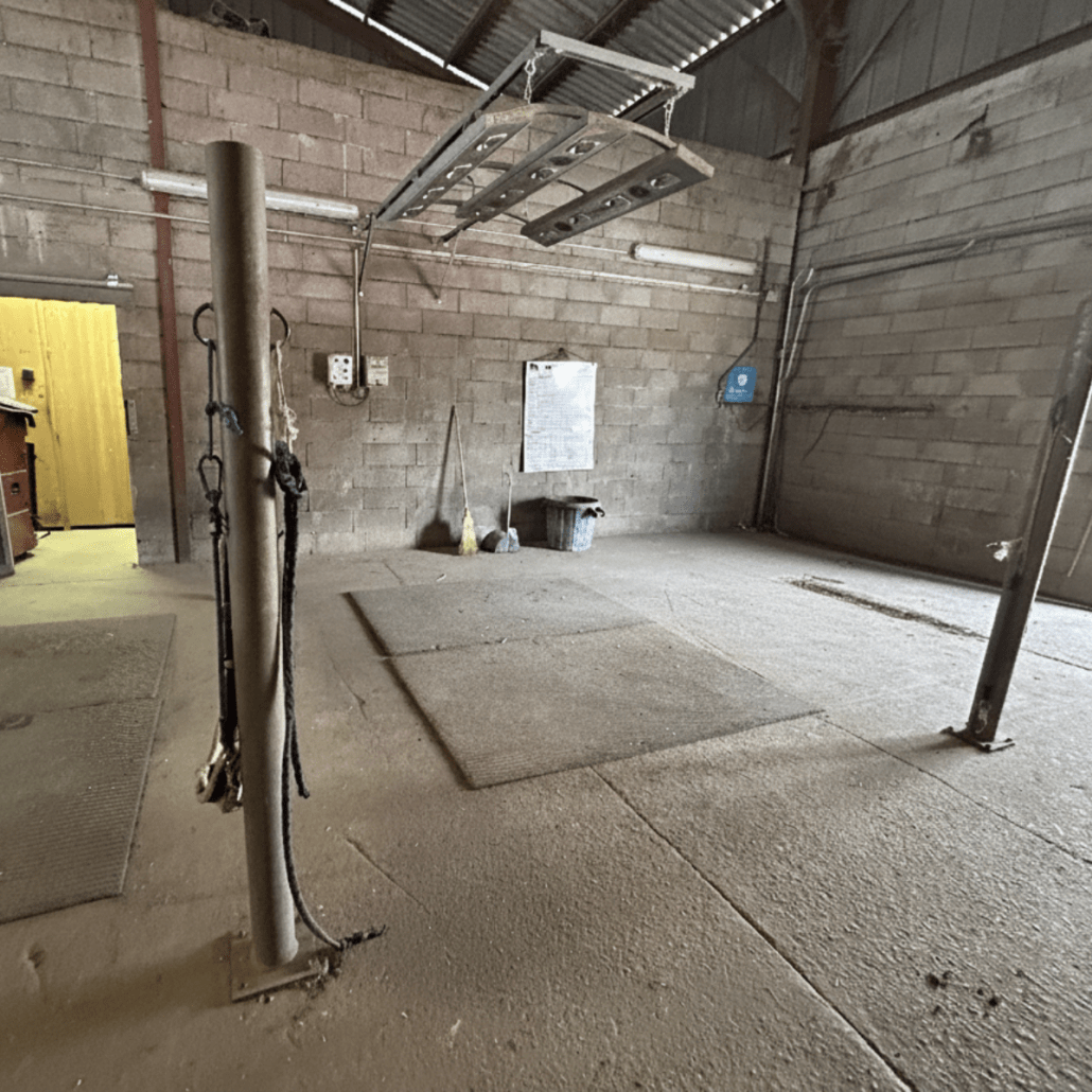 salle de pansage pour chevaux avec solarium
