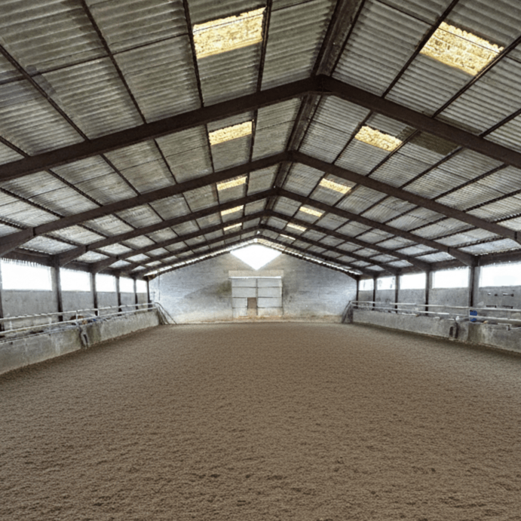 Manège pour chevaux