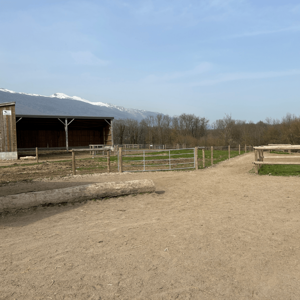 installations écurie active avec abris et chemin de terre