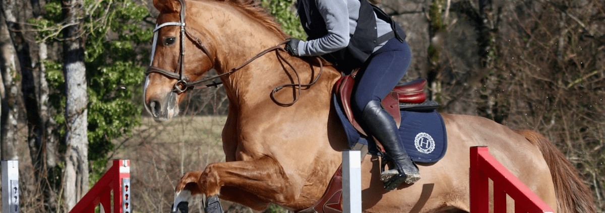 cheval et cavalière qui sautent un obstacle