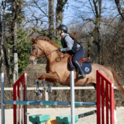 cheval et cavalière qui sautent un obstacle